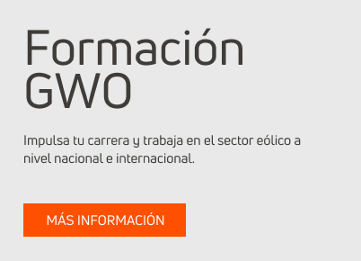 Formación GWO